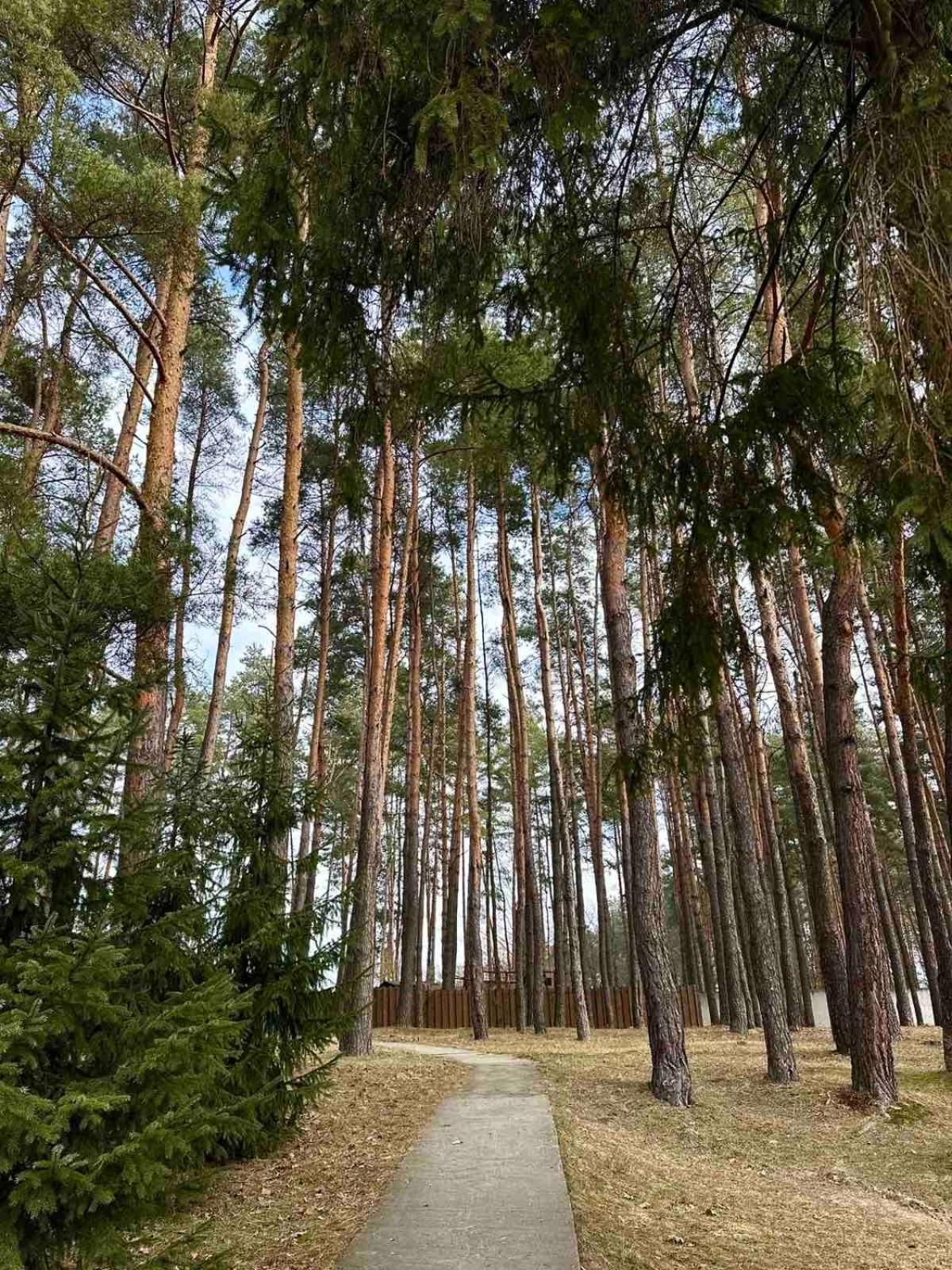 Kryve Ozero Hotel Novoyavorivsk Buitenkant foto