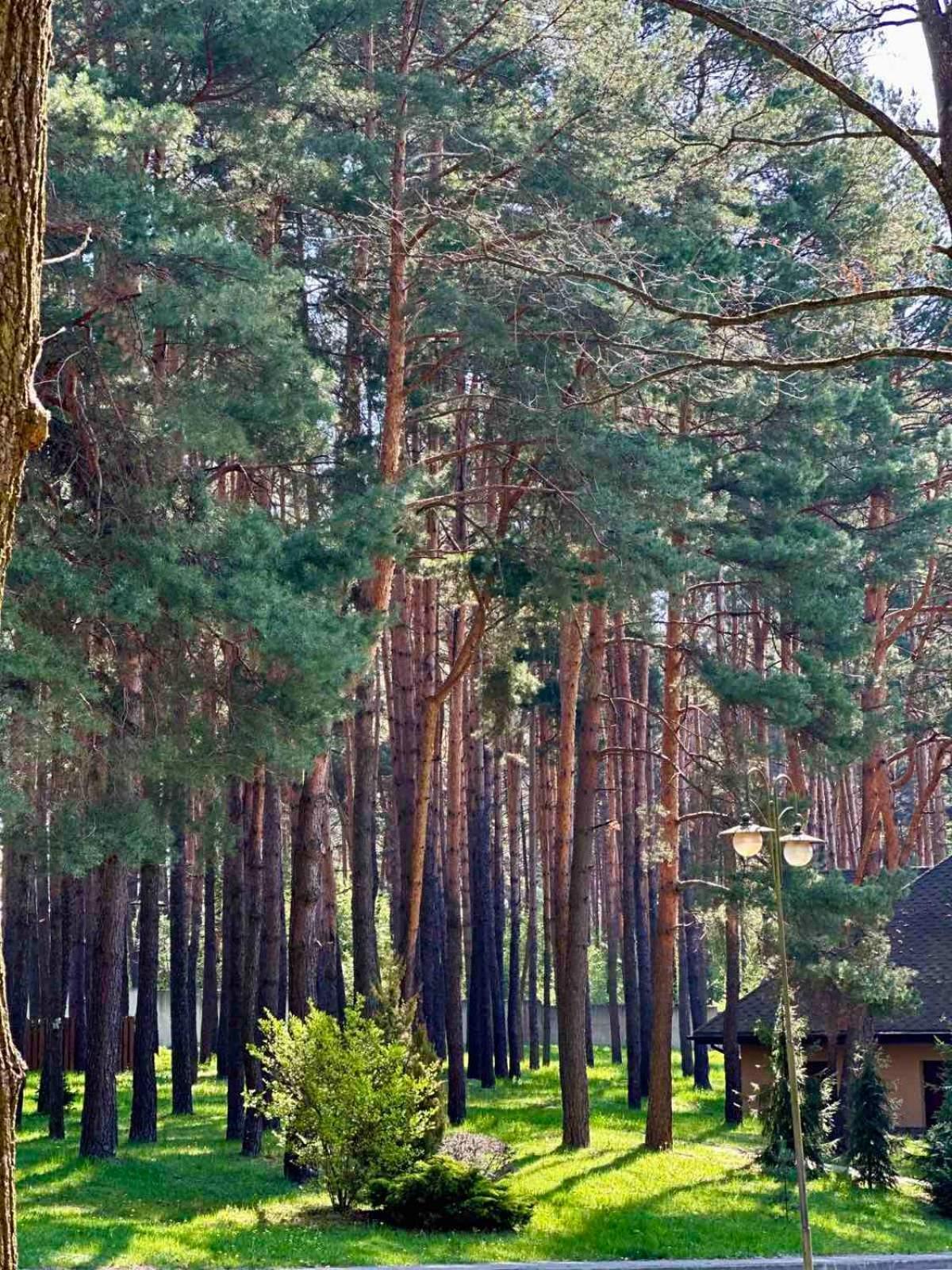 Kryve Ozero Hotel Novoyavorivsk Buitenkant foto